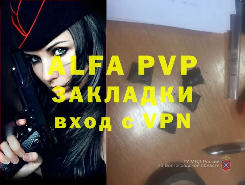 Alfa_PVP СК КРИС  Луза 